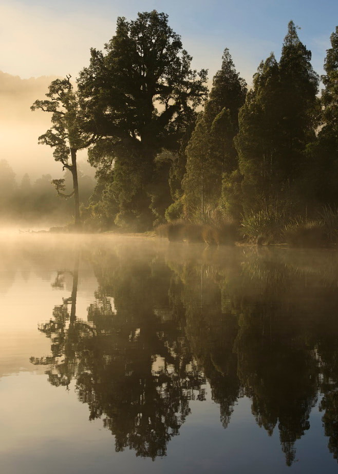Lake-Mapourika-Landscape-Photography-South-Westland-Lakes-New-Zealand.